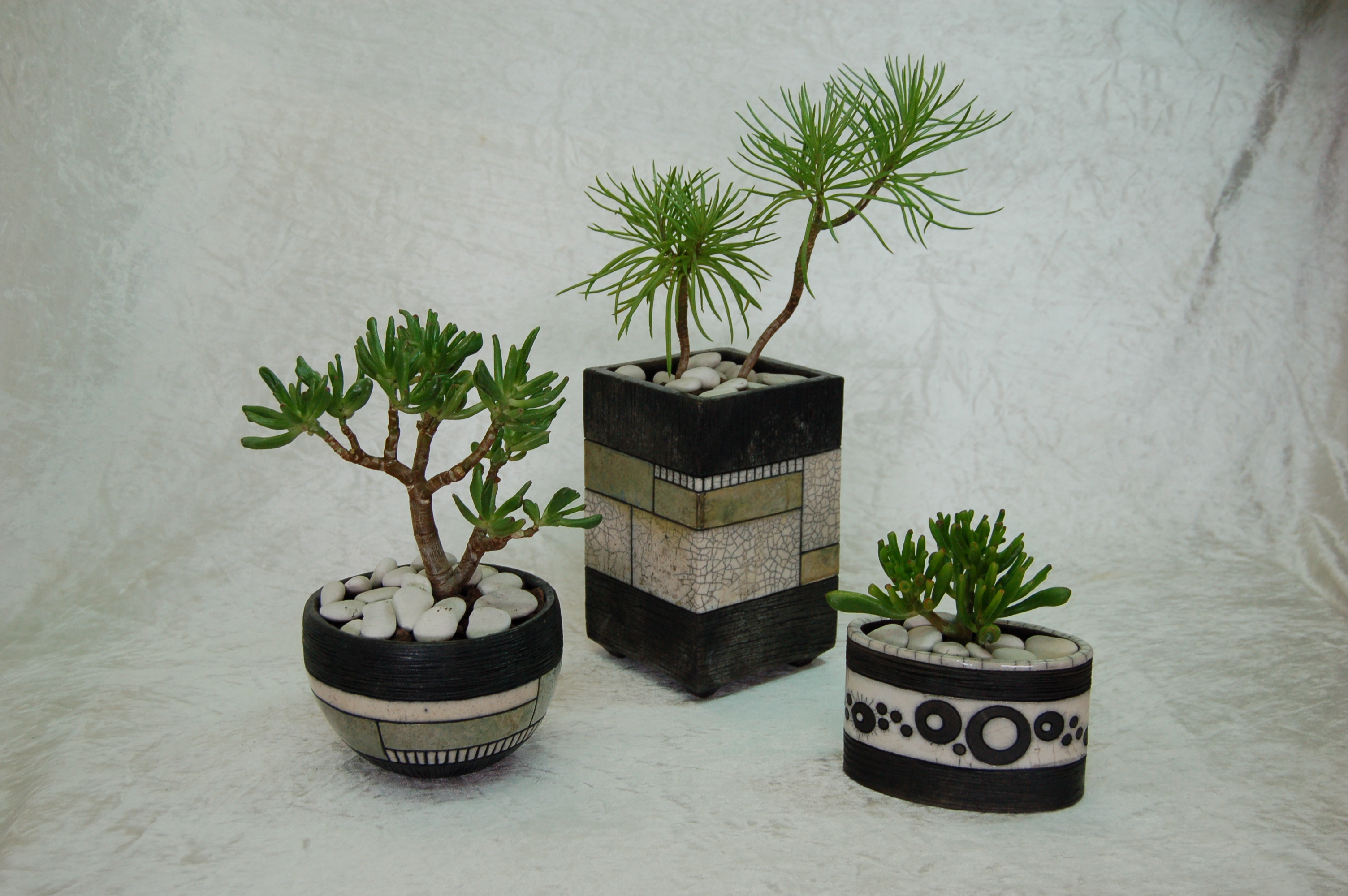 pots pour plantes